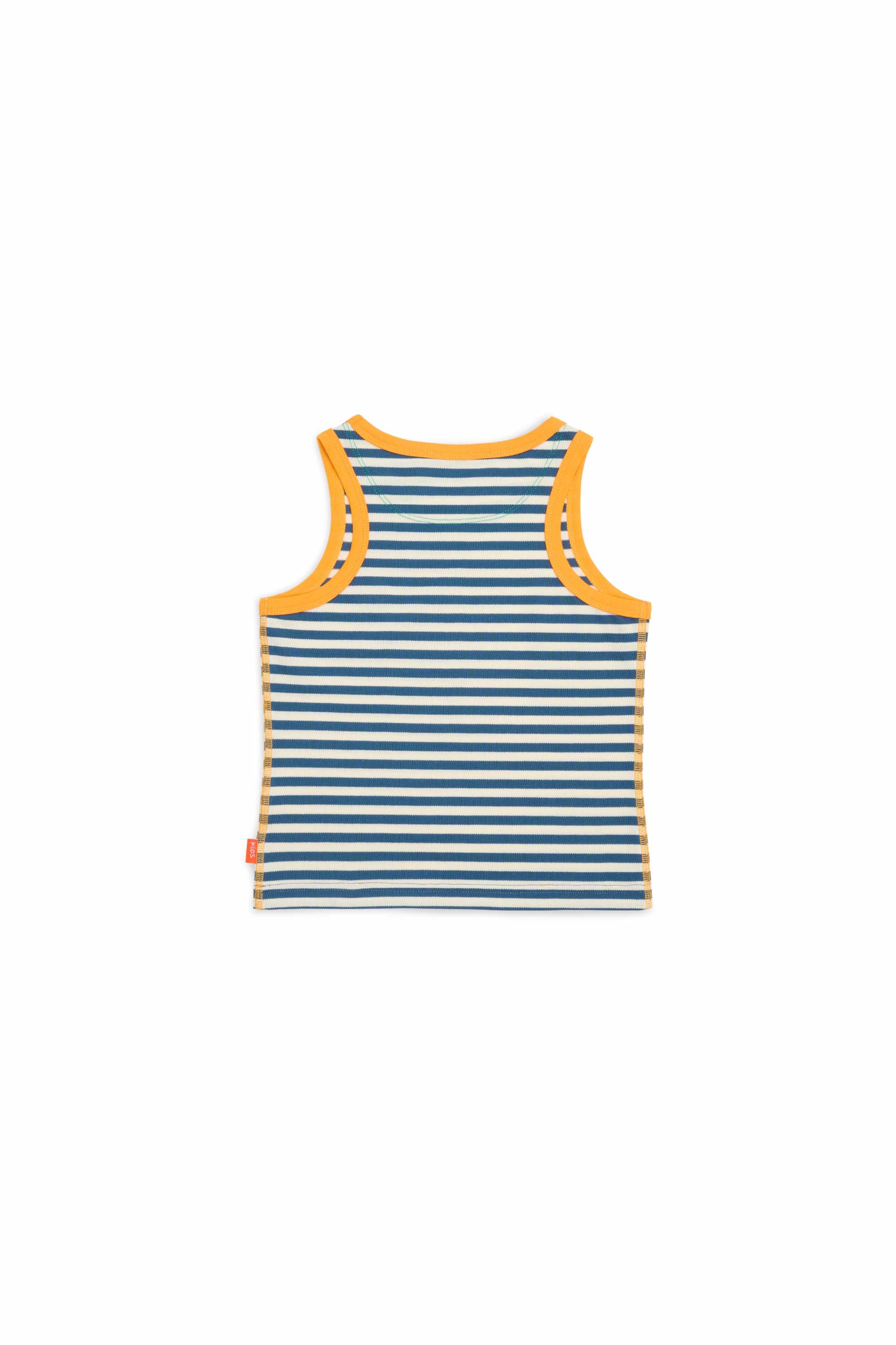 Navy Stripes