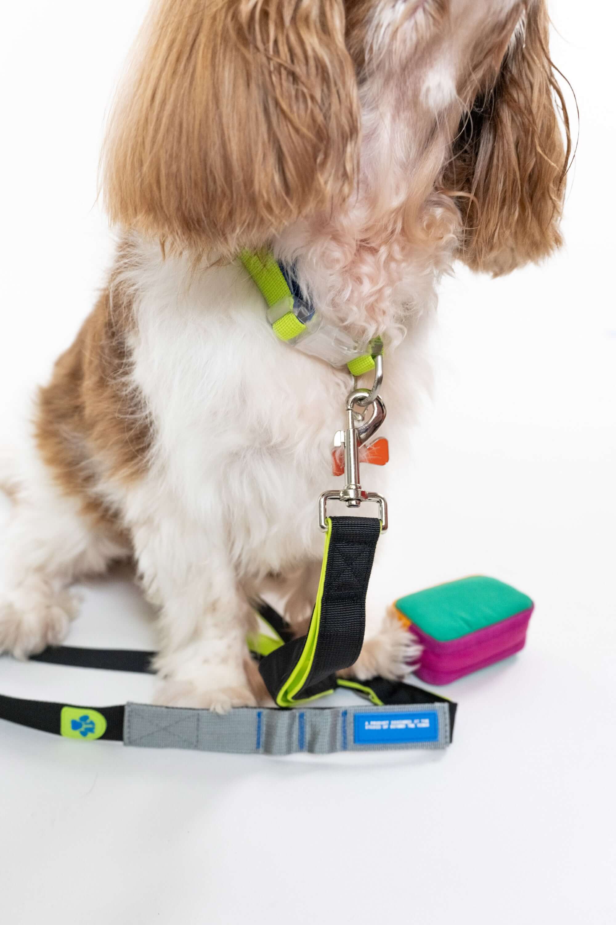 Neon Green Colourblock