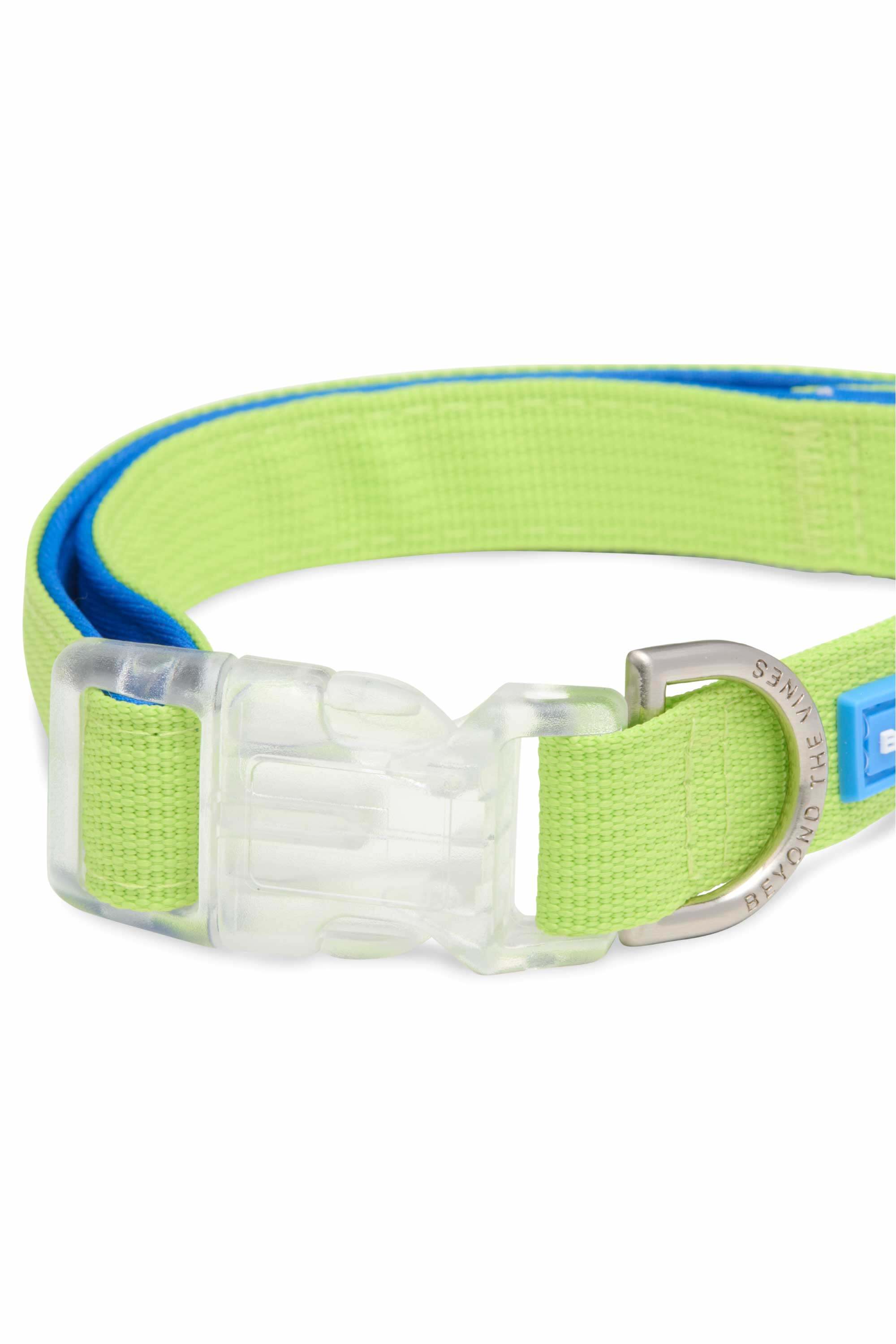 Neon Green Colourblock