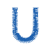U
