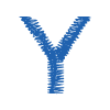 Y